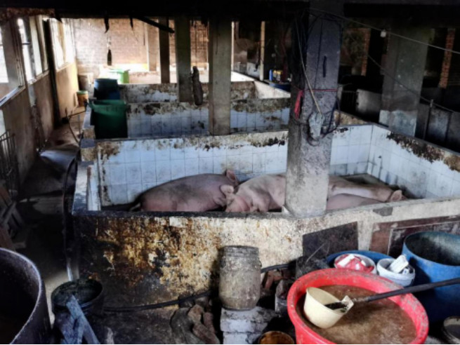 ���ô�pc28Ԥ��(�й�)�ٷ���վ