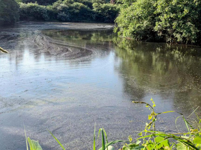 ���ô�pc28Ԥ��(�й�)�ٷ���վ